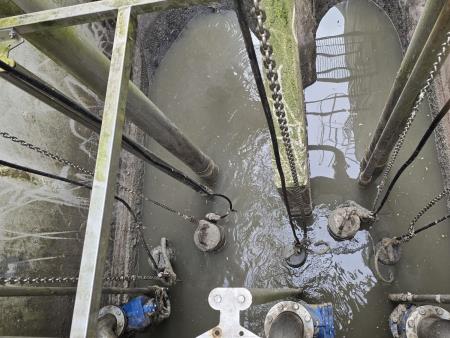 Slika 2 - Vzorčenje na terenu- inhibicija Feb.24